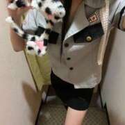 ヒメ日記 2025/11/25 17:10 投稿 なぎさ みつらん鉄道