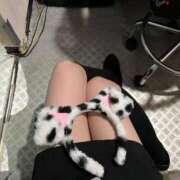 ヒメ日記 2025/11/25 22:04 投稿 なぎさ みつらん鉄道