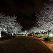 ヒメ日記 2026/04/08 20:15 投稿 かりん ミセスファースト 熊谷店 -お姉さん・若妻専門店-