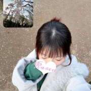 ヒメ日記 2026/04/12 08:15 投稿 かりん ミセスファースト 熊谷店 -お姉さん・若妻専門店-