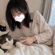ヒメ日記 2026/09/04 08:15 投稿 かりん ミセスファースト 熊谷店 -お姉さん・若妻専門店-