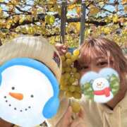 さゆき やまなっし〜🍇 清楚