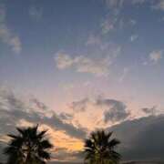 ヒメ日記 2025/09/16 16:24 投稿 白井のぞみ 五反田マーマレード(ユメオト)