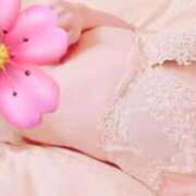 ヒメ日記 2025/11/03 00:34 投稿 ひとみ（新人割引9/11まで） ウルトラグレイス24