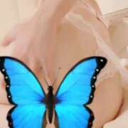 ヒメ日記 2025/11/04 00:20 投稿 ひとみ（新人割引9/11まで） ウルトラグレイス24