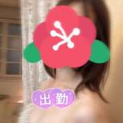 ヒメ日記 2026/01/18 20:00 投稿 ひとみ（新人割引9/11まで） ウルトラグレイス24