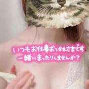 ヒメ日記 2026/01/20 08:40 投稿 ひとみ（新人割引9/11まで） ウルトラグレイス24