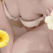 ヒメ日記 2026/03/14 22:30 投稿 ひとみ（新人割引9/11まで） ウルトラグレイス24