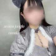 ヒメ日記 2025/09/26 08:21 投稿 菜々香（ななか）ＡＧジャングル AROMA JUNGLE（アロマジャングル）エースグループ