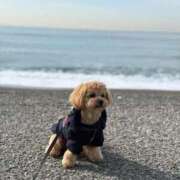 ヒメ日記 2026/02/04 23:12 投稿 まり◇モデル級癒し系女子大生◇ H-ash（アッシュ）