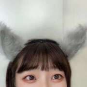 ヒメ日記 2025/12/23 16:44 投稿 めい JDリフレ