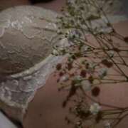 ヒメ日記 2026/01/18 13:44 投稿 めい JDリフレ