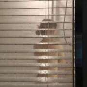 ヒメ日記 2026/01/26 22:44 投稿 めい JDリフレ