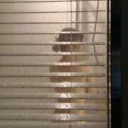 ヒメ日記 2026/03/08 19:14 投稿 めい JDリフレ