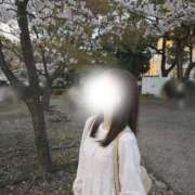 ヒメ日記 2026/03/31 20:34 投稿 めい JDリフレ