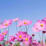 みこ 18日🍂 JDリフレ