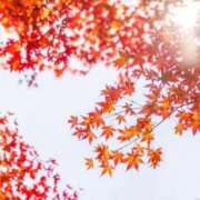 みこ 今日 JDリフレ