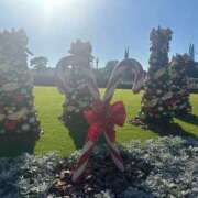 みこ 今年最後 JDリフレ