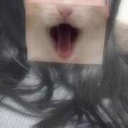 ヒメ日記 2025/11/03 20:06 投稿 なみ JDリフレ