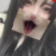 ヒメ日記 2025/11/09 13:22 投稿 なみ JDリフレ