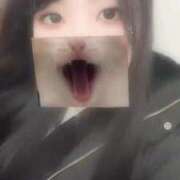 ヒメ日記 2026/02/16 19:14 投稿 なみ JDリフレ