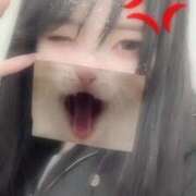 ヒメ日記 2026/02/20 20:24 投稿 なみ JDリフレ