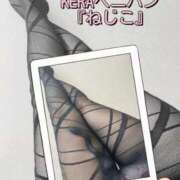 ヒメ日記 2026/03/30 20:13 投稿 すみれ 五反田痴女性感フェチ倶楽部