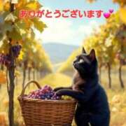 ヒメ日記 2025/09/08 16:26 投稿 矢吹 熟女の風俗最終章 横浜本店