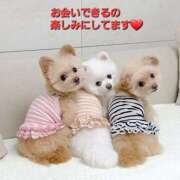 ヒメ日記 2025/09/13 17:34 投稿 矢吹 熟女の風俗最終章 横浜本店