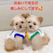 ヒメ日記 2025/09/27 15:04 投稿 矢吹 熟女の風俗最終章 横浜本店