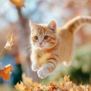 ヒメ日記 2025/11/01 01:34 投稿 矢吹 熟女の風俗最終章 横浜本店