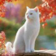 ヒメ日記 2025/11/02 23:38 投稿 矢吹 熟女の風俗最終章 横浜本店