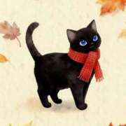 ヒメ日記 2025/11/17 03:15 投稿 矢吹 熟女の風俗最終章 横浜本店