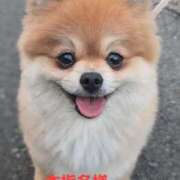 ヒメ日記 2025/11/22 22:44 投稿 矢吹 熟女の風俗最終章 横浜本店