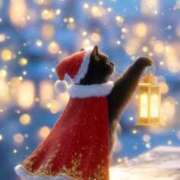 ヒメ日記 2025/12/07 14:54 投稿 矢吹 熟女の風俗最終章 横浜本店