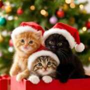 ヒメ日記 2025/12/11 01:21 投稿 矢吹 熟女の風俗最終章 横浜本店