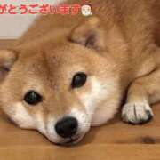 ヒメ日記 2025/12/11 23:19 投稿 矢吹 熟女の風俗最終章 横浜本店