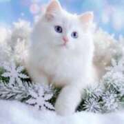 ヒメ日記 2025/12/30 01:44 投稿 矢吹 熟女の風俗最終章 横浜本店