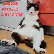 ヒメ日記 2025/12/30 19:54 投稿 矢吹 熟女の風俗最終章 横浜本店