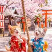 ヒメ日記 2026/01/06 03:44 投稿 矢吹 熟女の風俗最終章 横浜本店