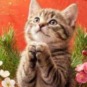 ヒメ日記 2026/01/25 09:25 投稿 矢吹 熟女の風俗最終章 横浜本店