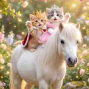 ヒメ日記 2026/01/25 14:44 投稿 矢吹 熟女の風俗最終章 横浜本店