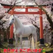 ヒメ日記 2026/01/26 01:38 投稿 矢吹 熟女の風俗最終章 横浜本店