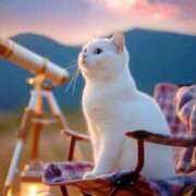 ヒメ日記 2026/01/27 01:14 投稿 矢吹 熟女の風俗最終章 横浜本店