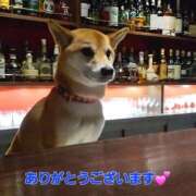 ヒメ日記 2026/01/27 09:20 投稿 矢吹 熟女の風俗最終章 横浜本店