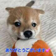 ヒメ日記 2026/01/27 13:31 投稿 矢吹 熟女の風俗最終章 横浜本店