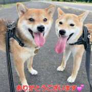 ヒメ日記 2026/01/28 03:37 投稿 矢吹 熟女の風俗最終章 横浜本店