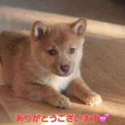 ヒメ日記 2026/01/28 13:34 投稿 矢吹 熟女の風俗最終章 横浜本店