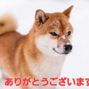 ヒメ日記 2026/01/28 13:39 投稿 矢吹 熟女の風俗最終章 横浜本店