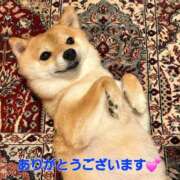 ヒメ日記 2026/01/28 17:32 投稿 矢吹 熟女の風俗最終章 横浜本店